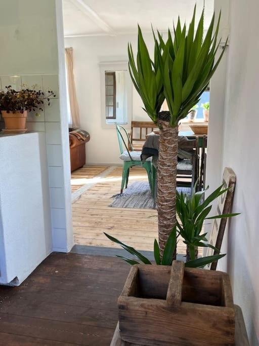 The Old Soap House - Stylish And Close To Beach Vang (Nordjylland) Exterior foto